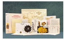 Load image into Gallery viewer, Detective Stories. History Edition - Kaifeng 982